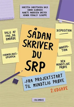 Sådan skriver du SRP (2. udg.)