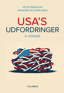 USA's udfordringer (4. udg.)