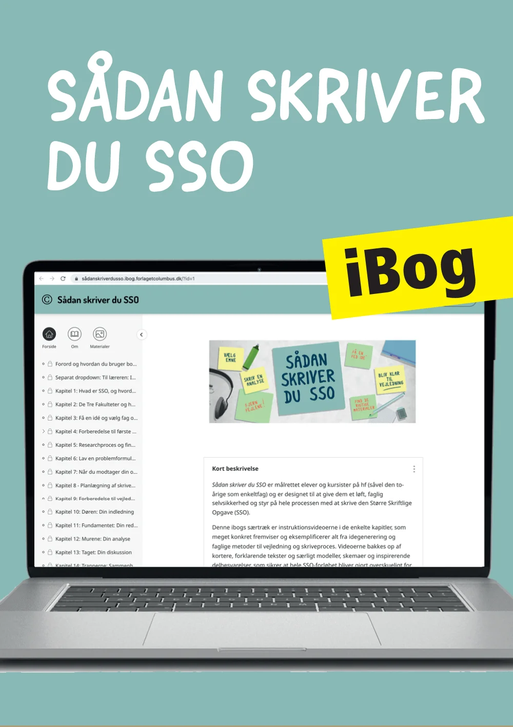 Sådan skriver du SSO