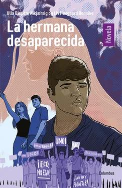 La hermana desaparecida  – Novela