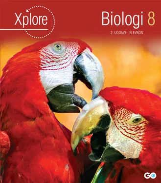 Xplore Biologi 8 - 2. udgave