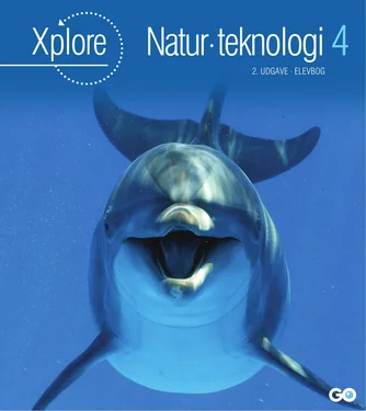 Xplore Natur/teknologi 4 - 2. udgave
