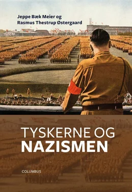 Tyskerne og nazismen
