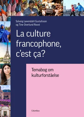 La culture francophone, c'est ça?