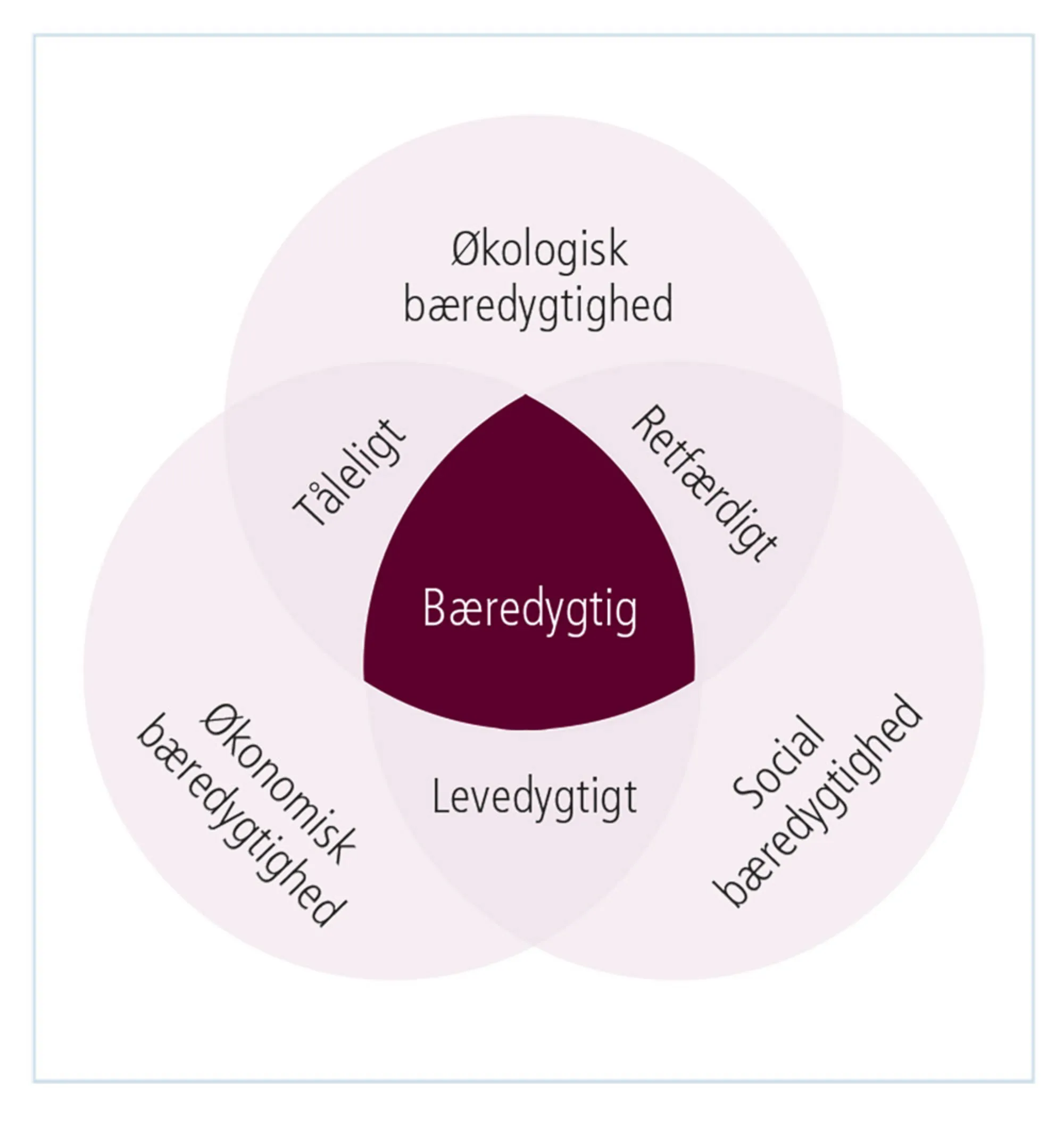 Figur 1.21a: Typer af bæredygtighed