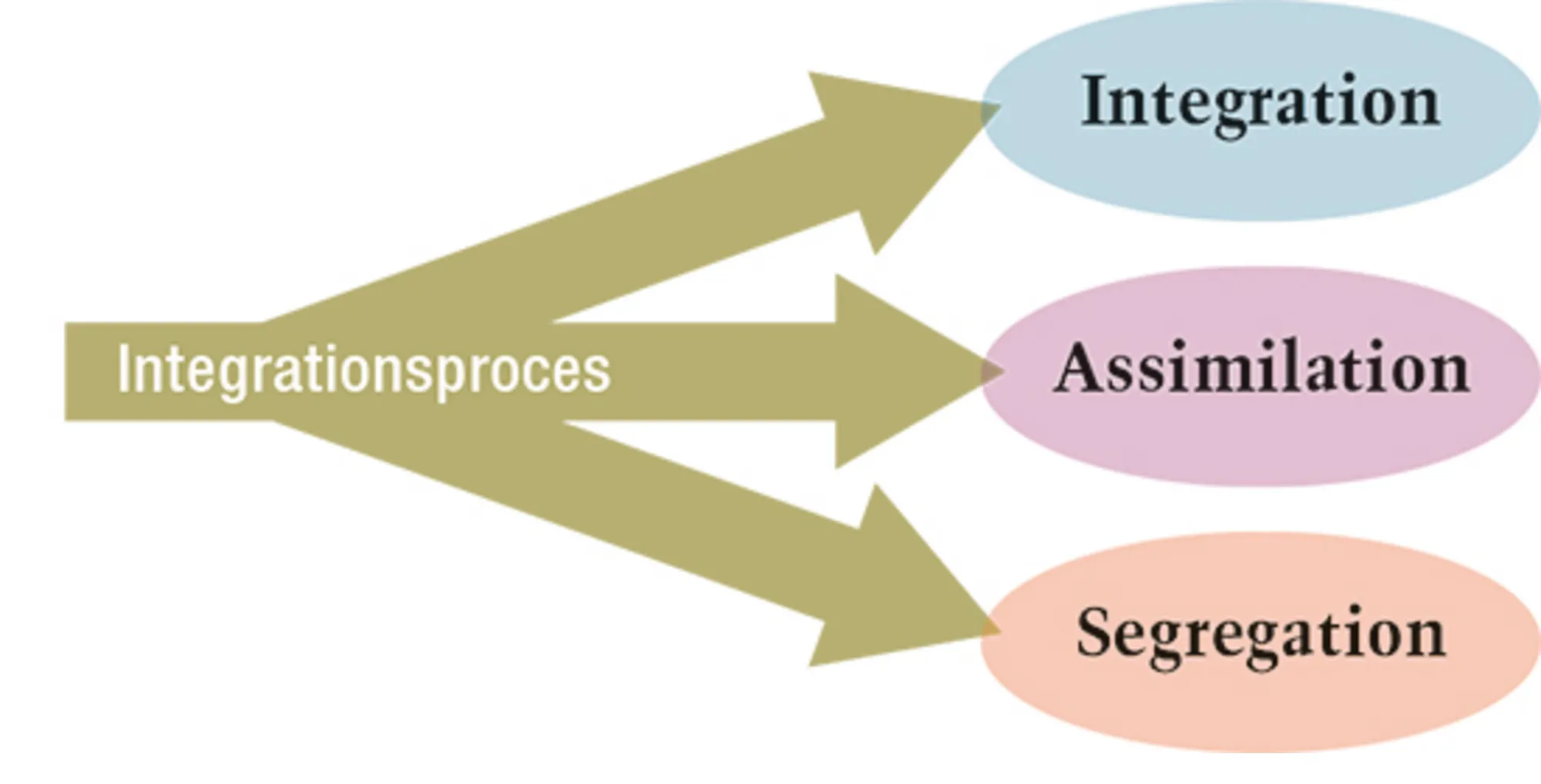 1.3 Integrationsprocessens konsekvenser