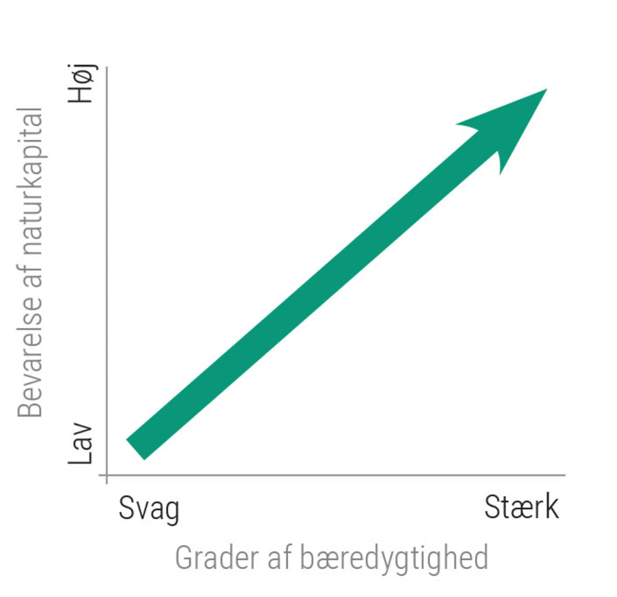 Figur 1.7: Svag og stærk bæredygtighed