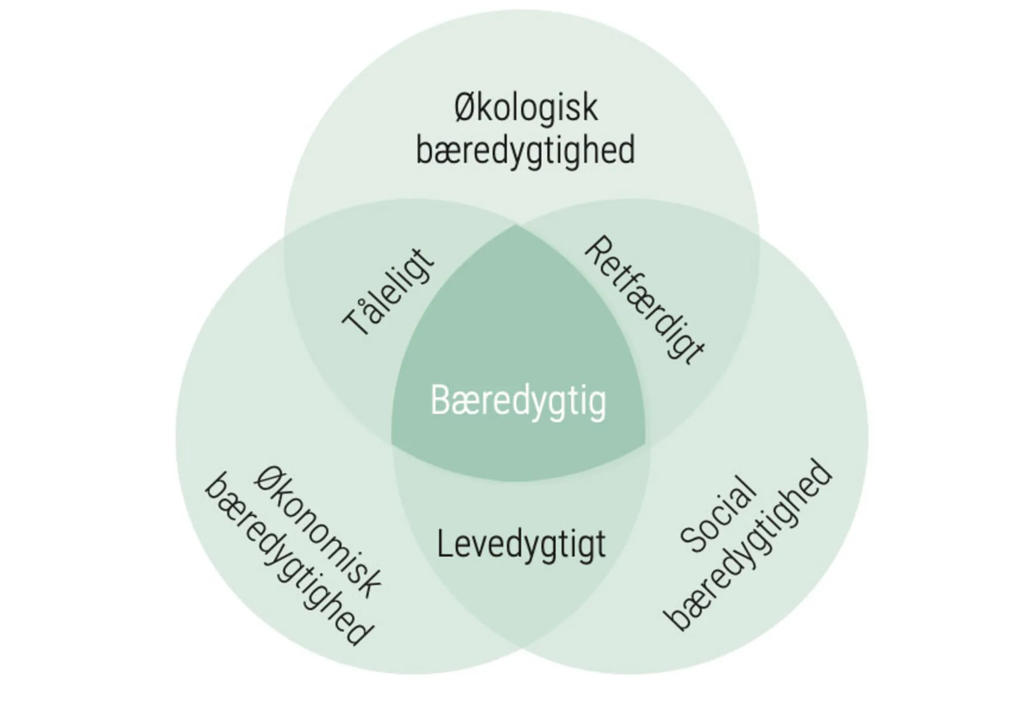Figur 1.9a: Typer af bæredygtighed