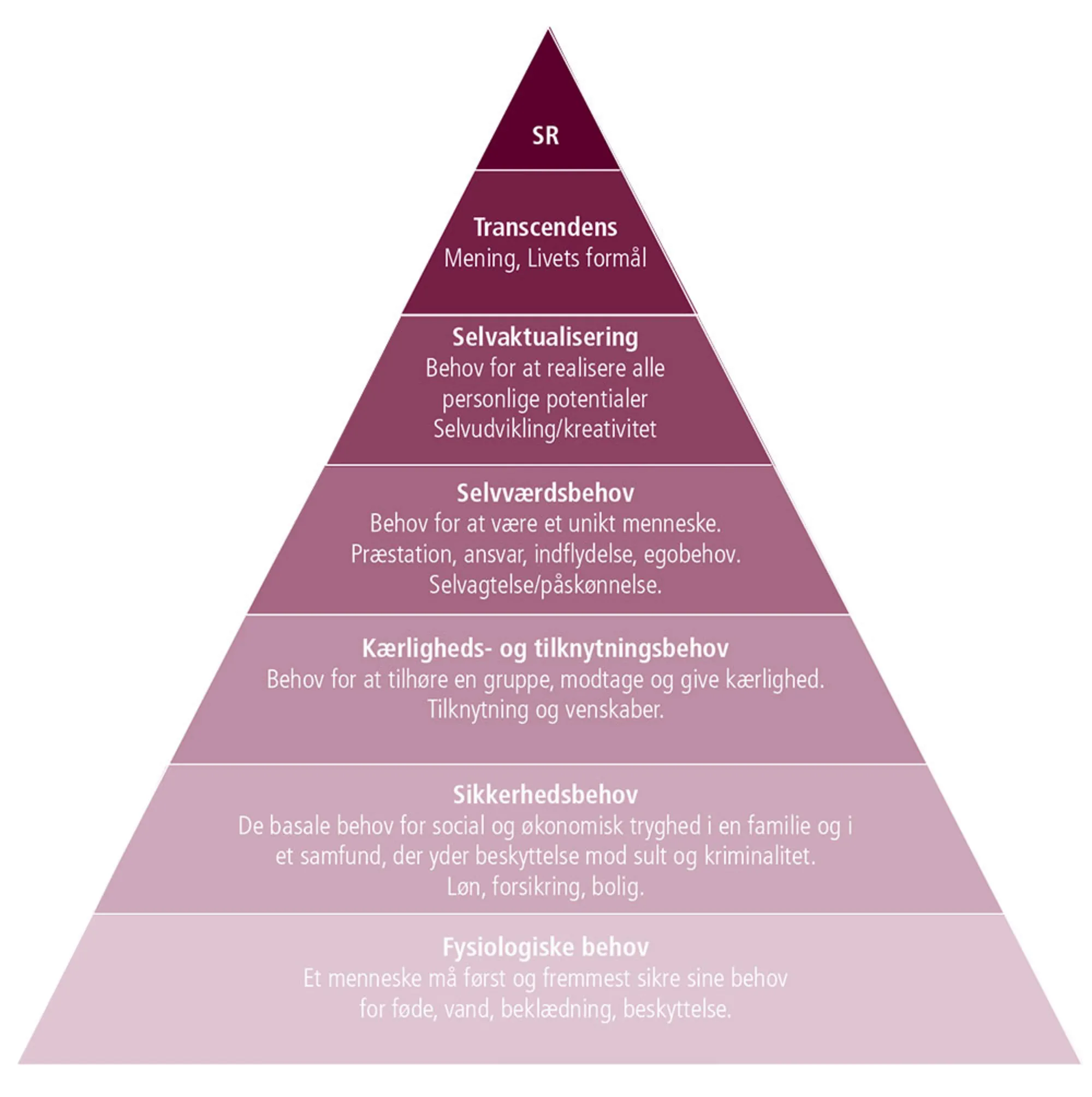 Figur 2.19: Maslows behovspyramide