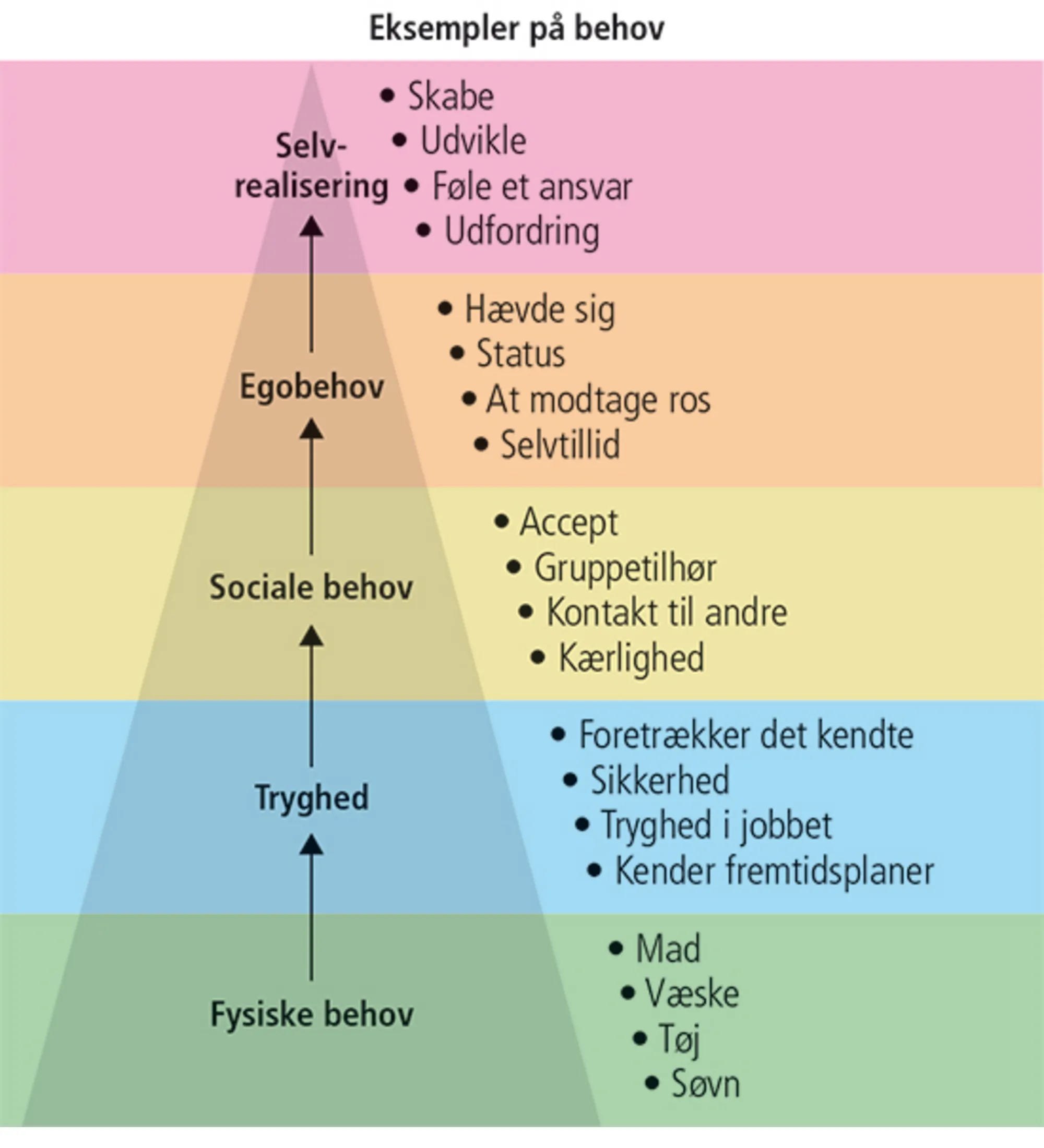 2.4 Maslows behovspyramide - har alle samme muligheder eller kan der tales om behovsfrustration?