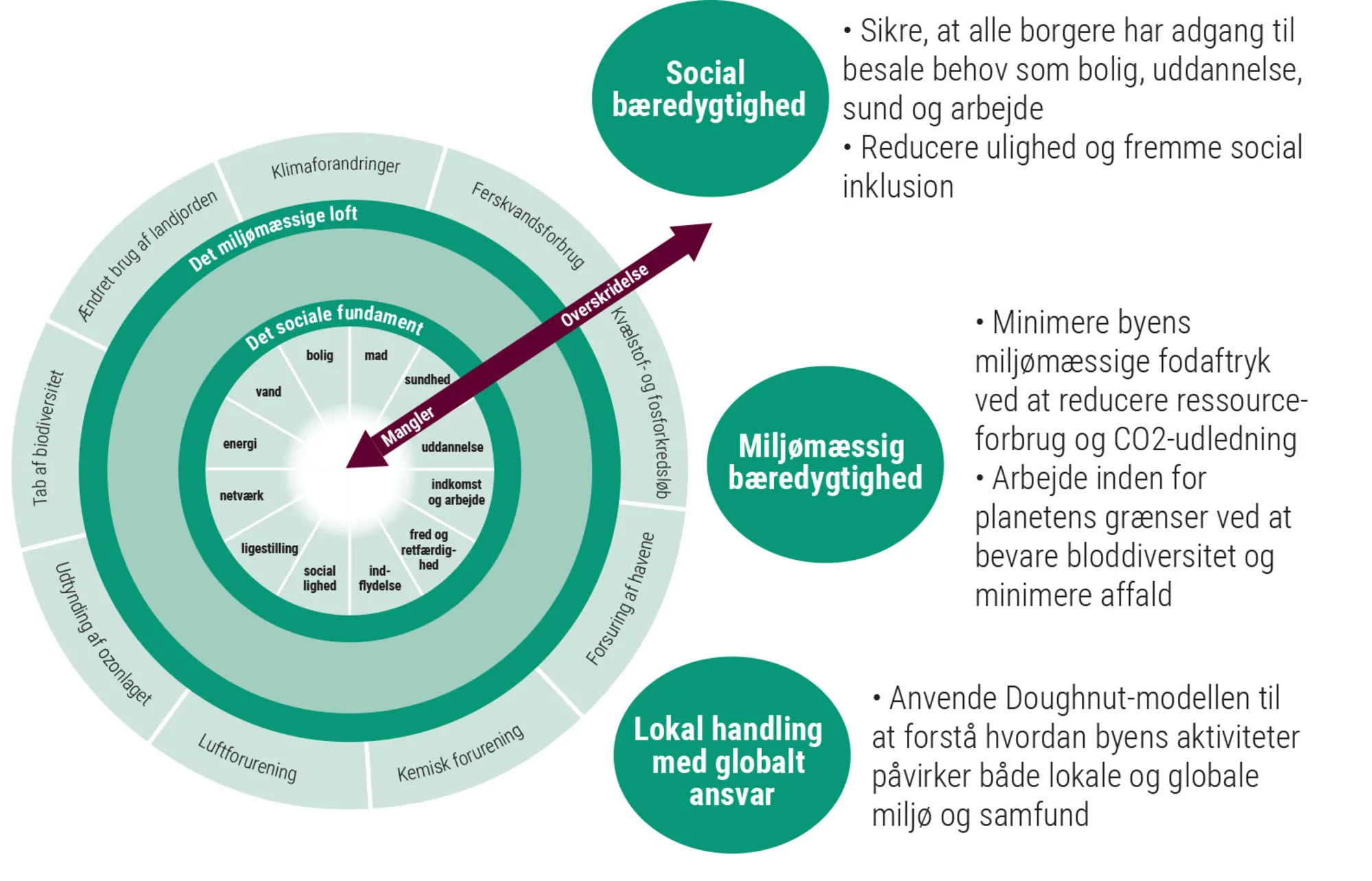 Figur 3.38: Amsterdams doughnutmodel