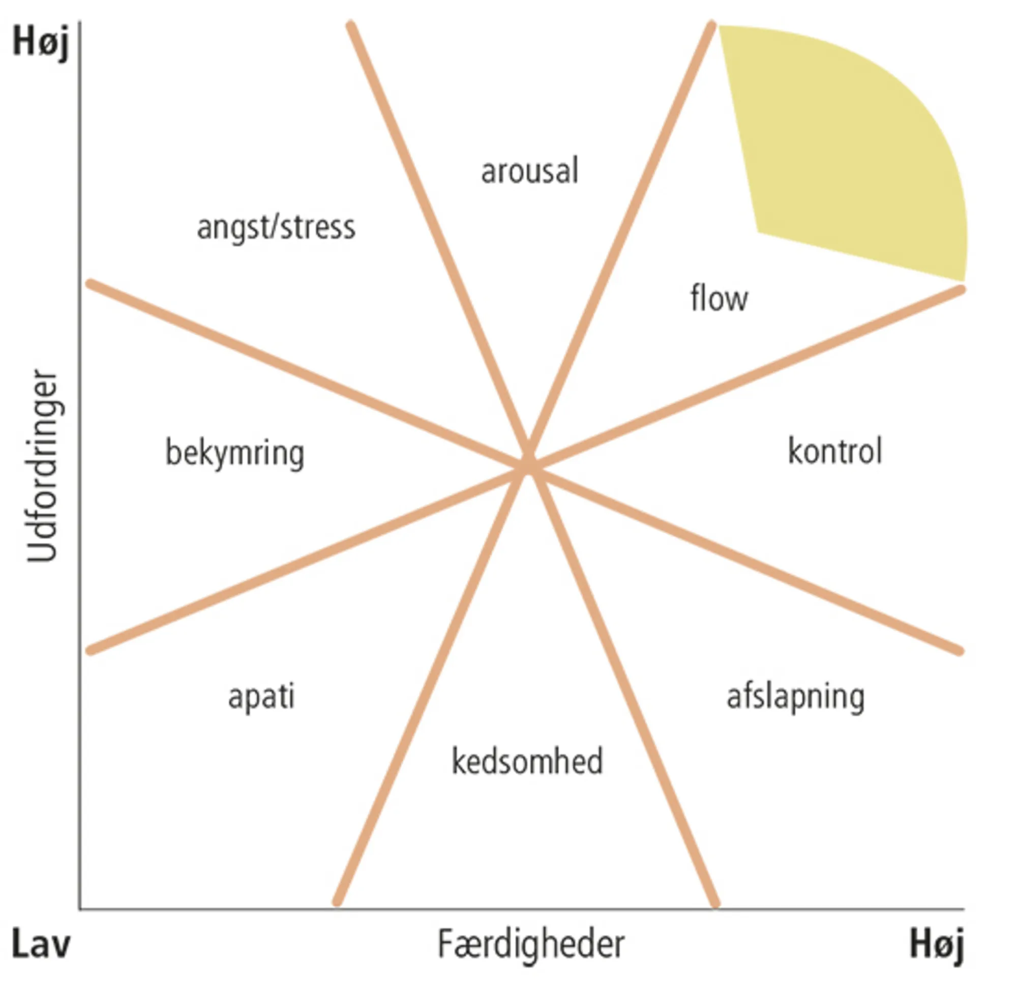 4.2 Flow og engagement i hverdagen