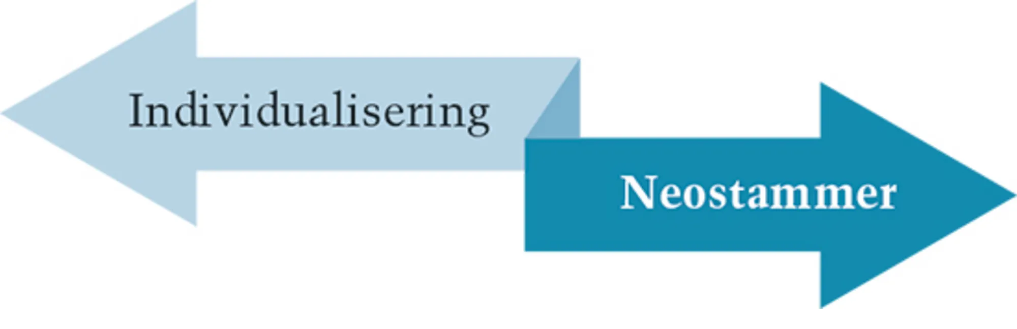 4.5 Samfundets individualisering versus neostammernes kollektivisme