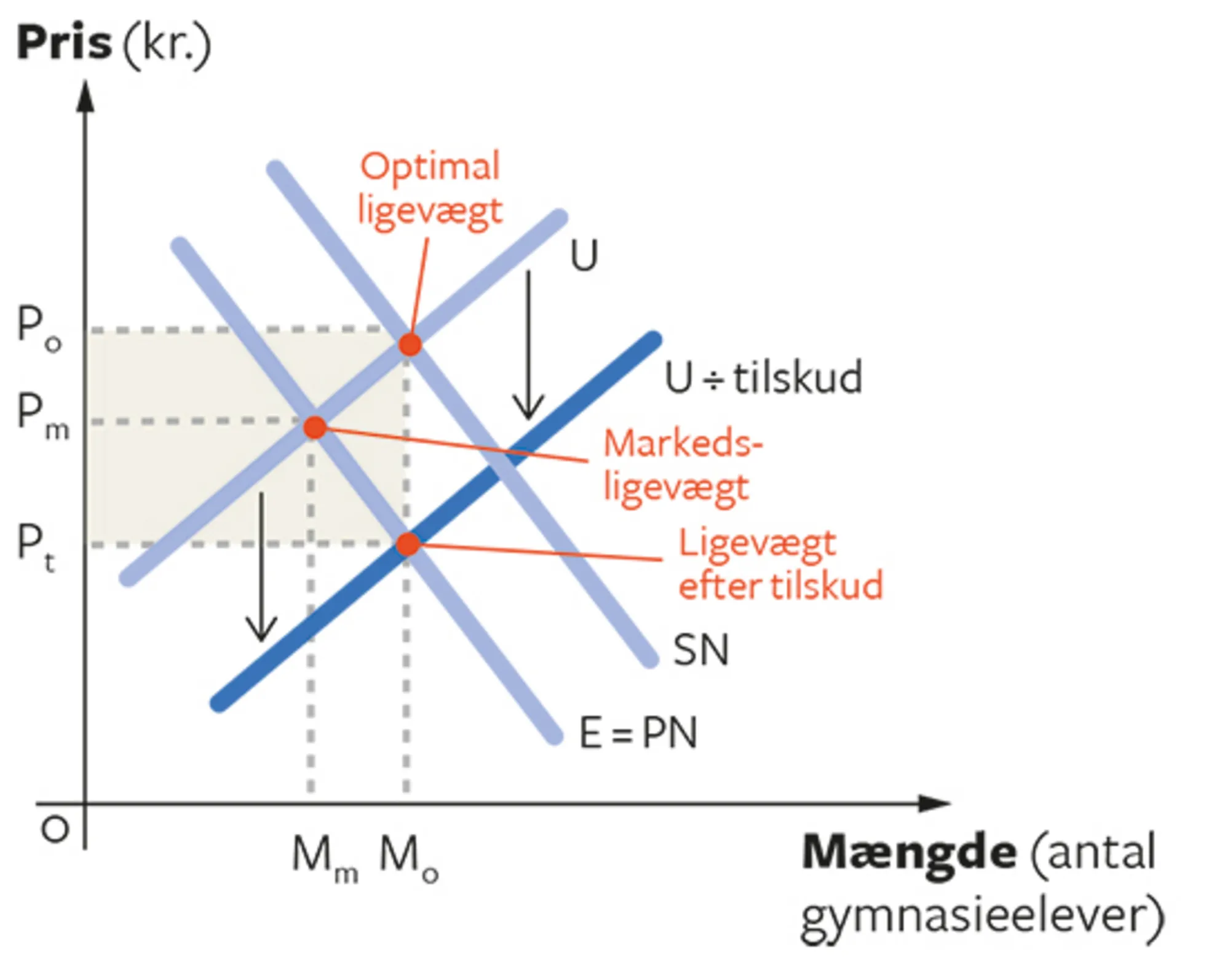 4.8 Tilskud til uddannelse