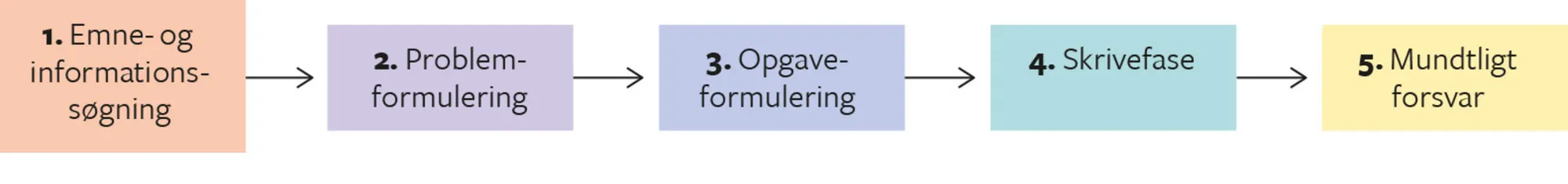 Figur 5.1. Faser i SRP-forløbet