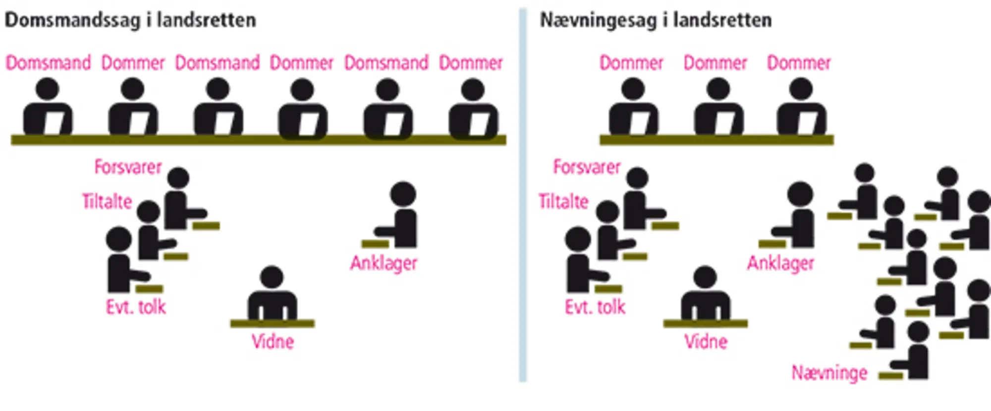 6.4 Domsmandssag i landsretten og nævningesag i landsretten