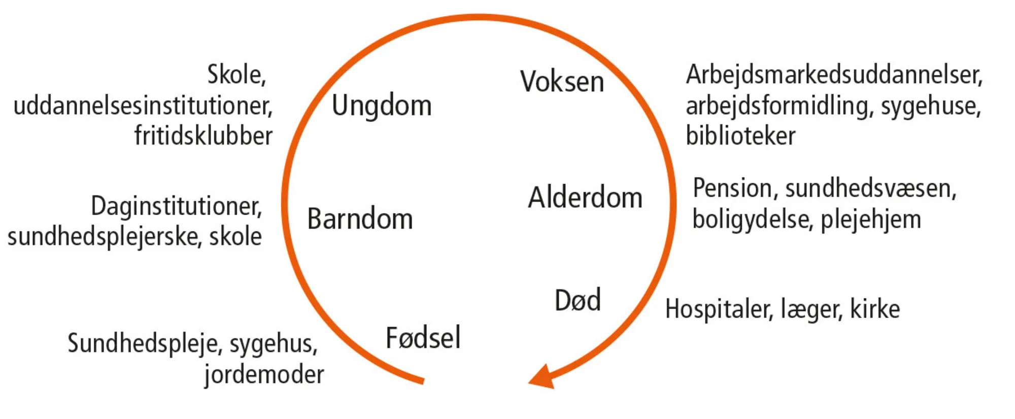 Figur 11.5: Fra vugge til grav - eksempler på offentlig service i en danskers livsløb