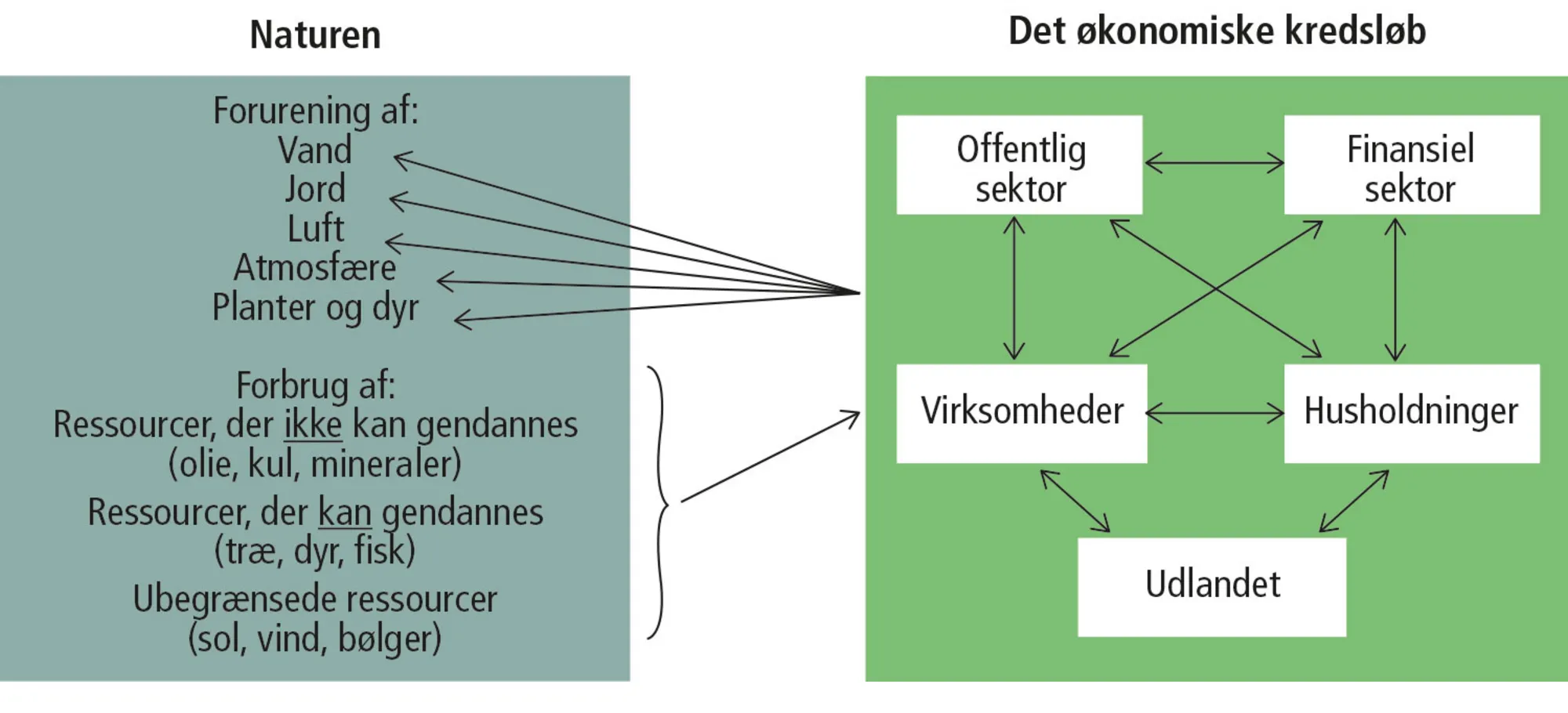 Figur 13.1: Samspillet mellem det økonomiske kredsløb og naturen