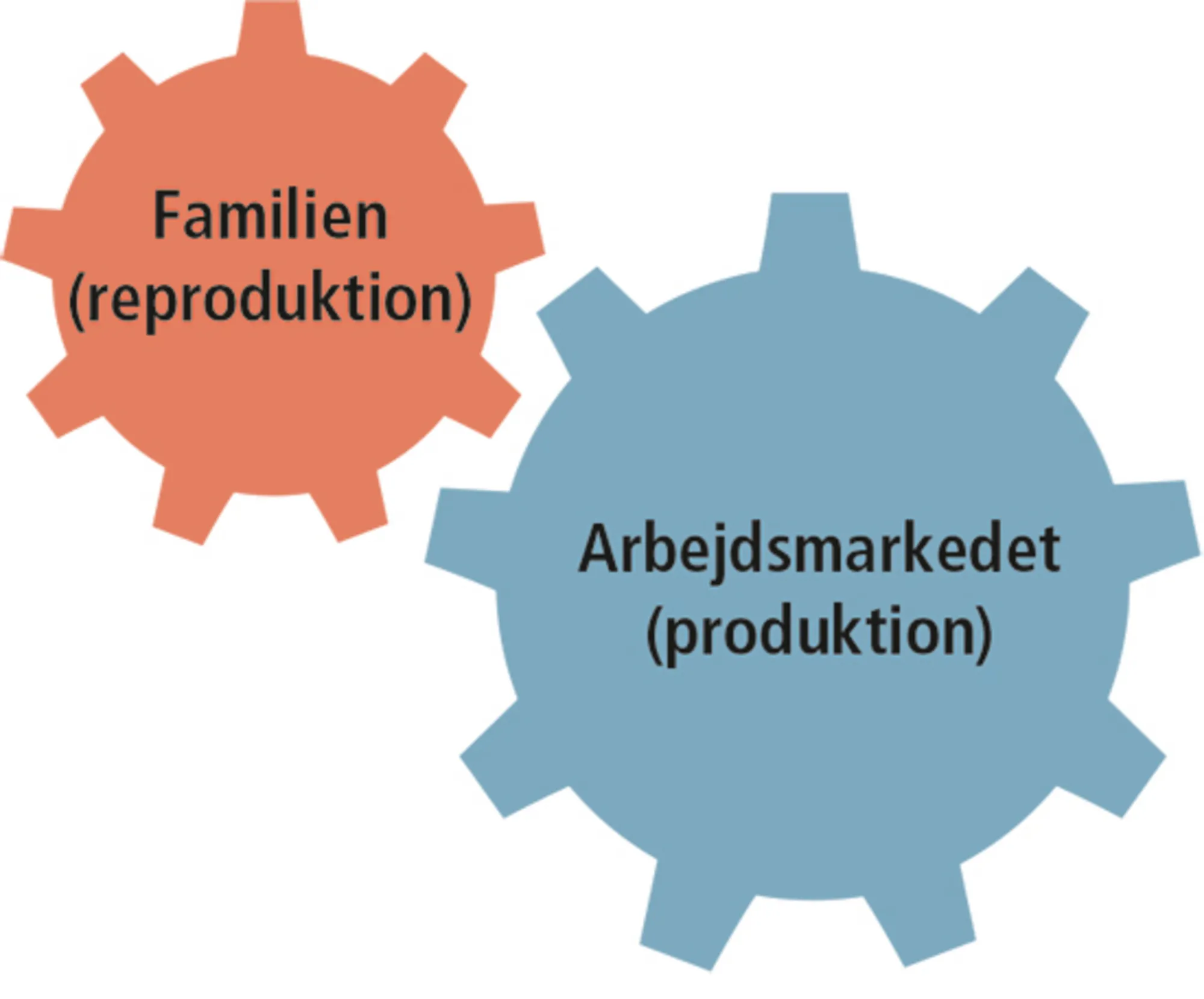1.1 Funktionalisme: Familie og arbejdsmarked er forbundne systemer