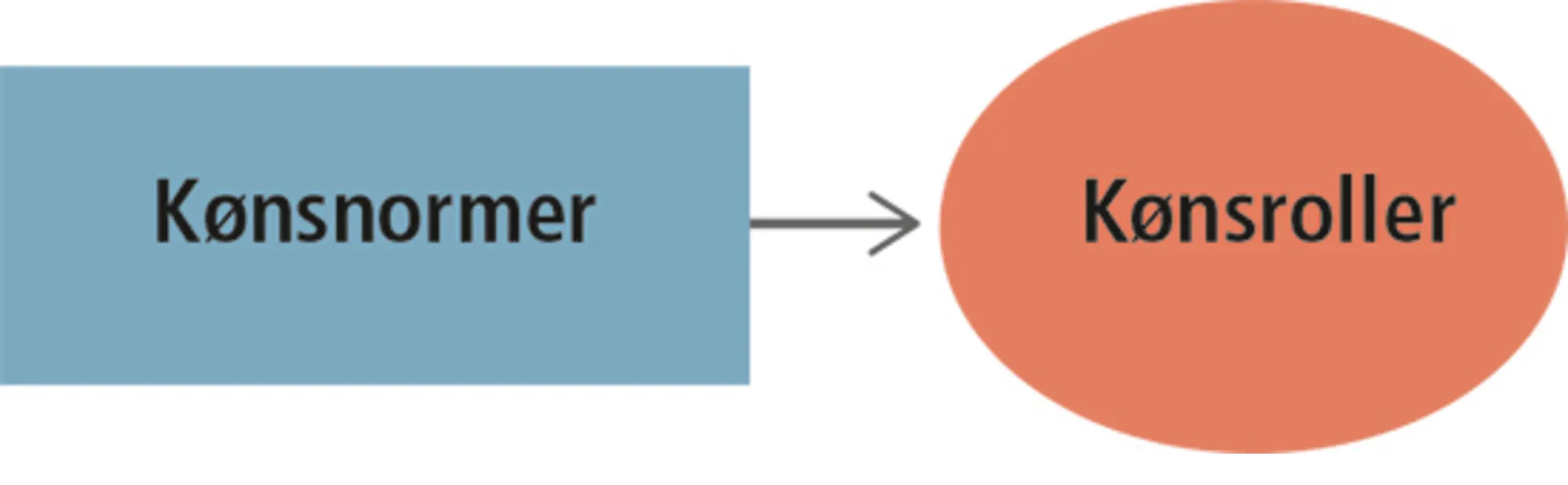 1.3: Normer og roller