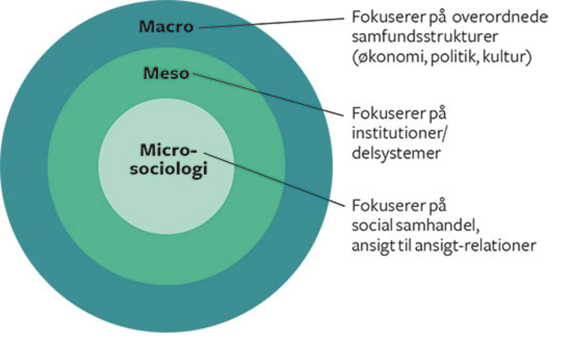 Figur 1.4 Makro-, meso- og mikrosociologi