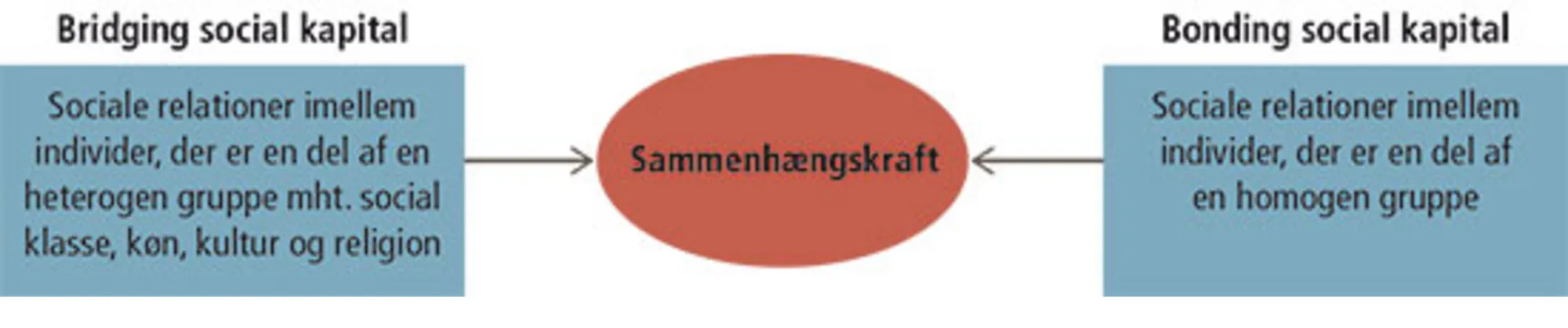 Figur 11.3 Bridging og bonding social kapital