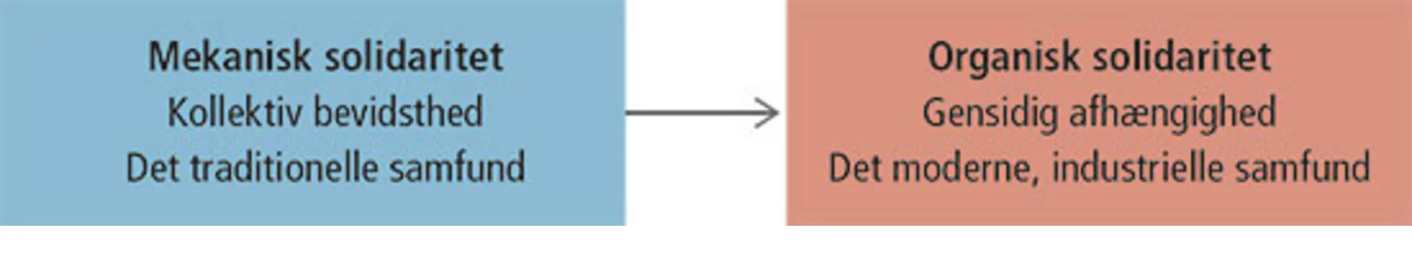 Figur 13.1 Durkheim – fra mekanisk til organisk solidaritet