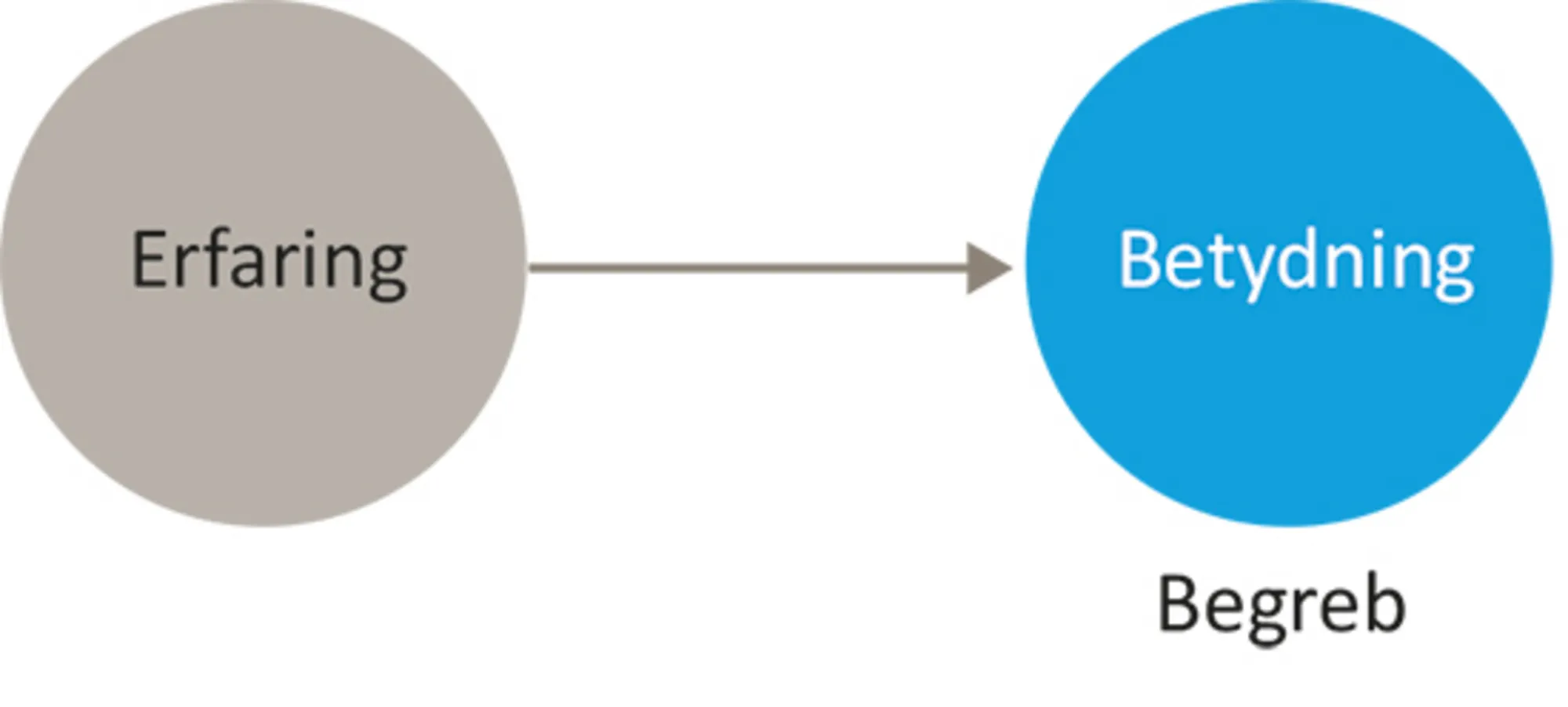 Figur 20: Erfaring og betydning