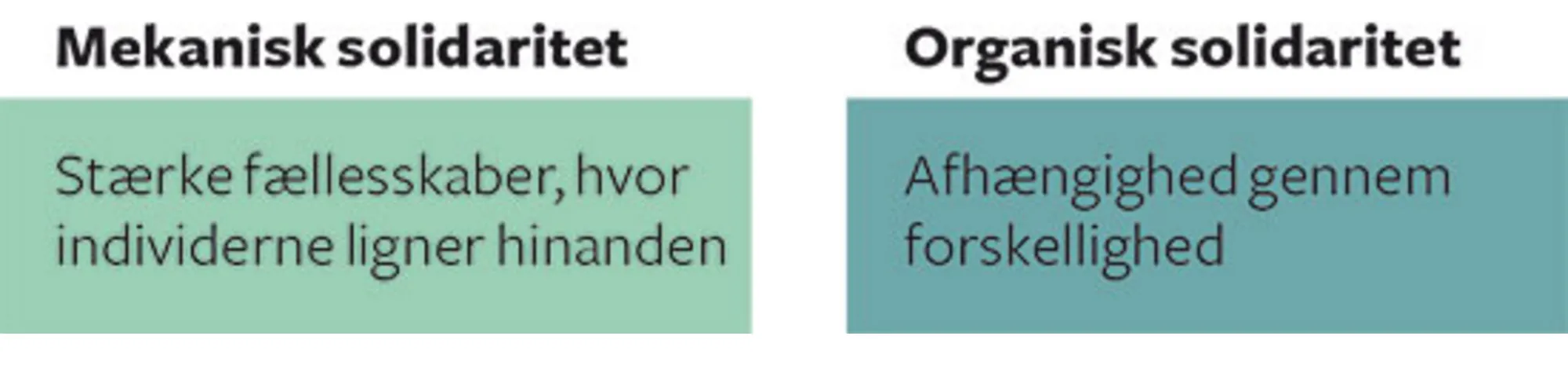 Figur 2.3 Durkheims sondring mellem mekanisk og organisk solidaritet