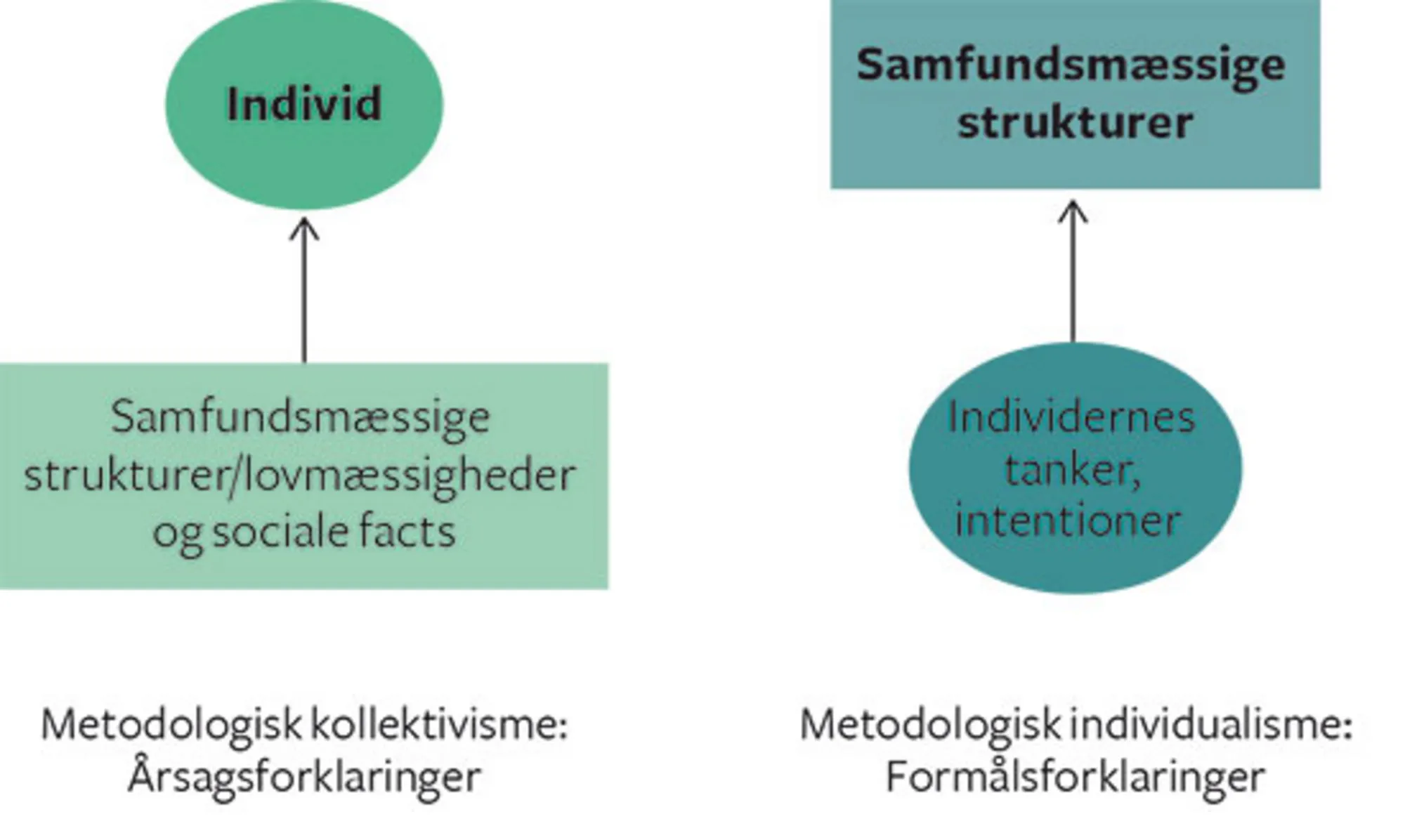 Figur 2.4 To hovedspor i studiet af det sociale