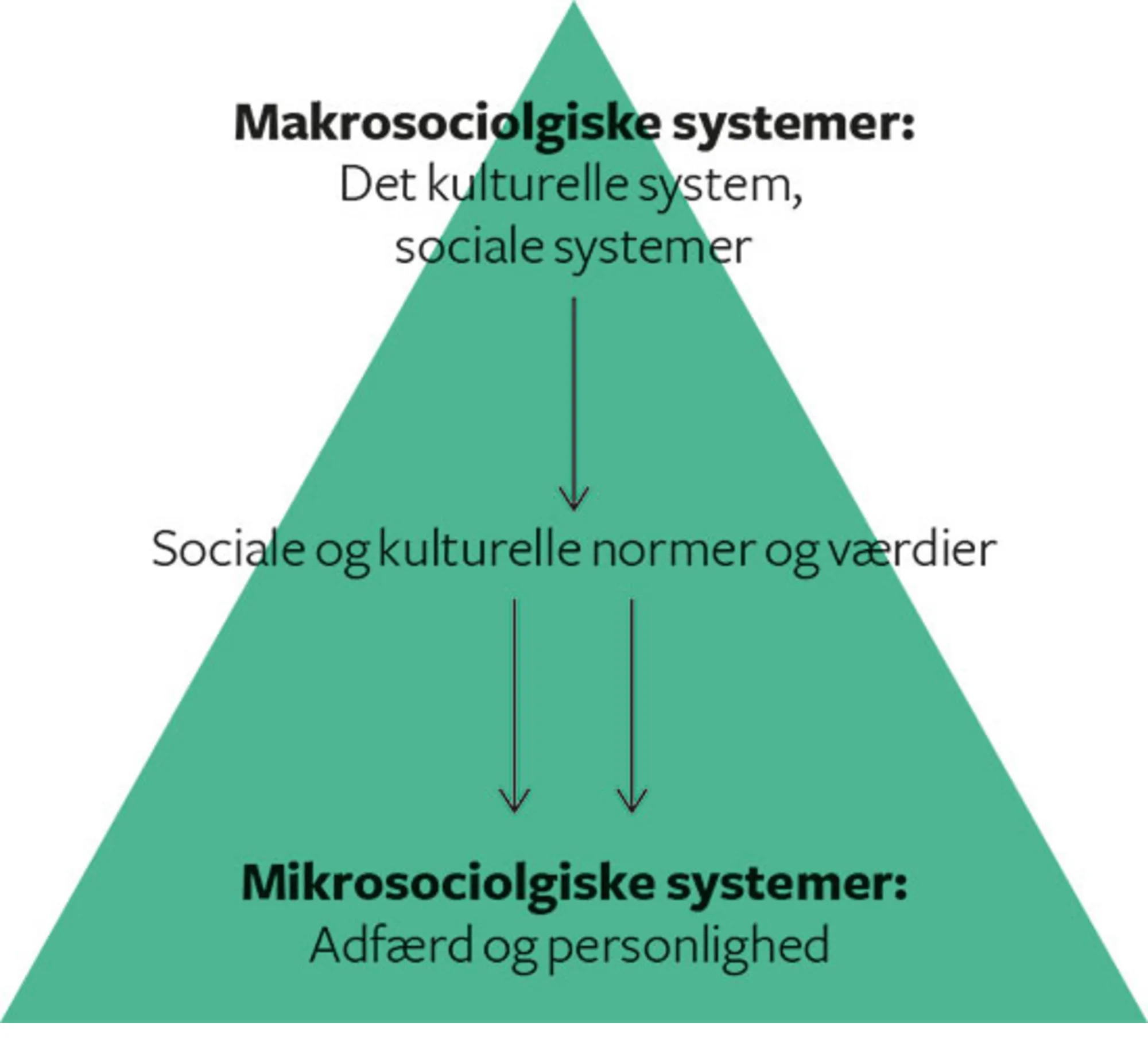 Figur 3.3 Samfundets hierarkiske orden ifølge Parsons