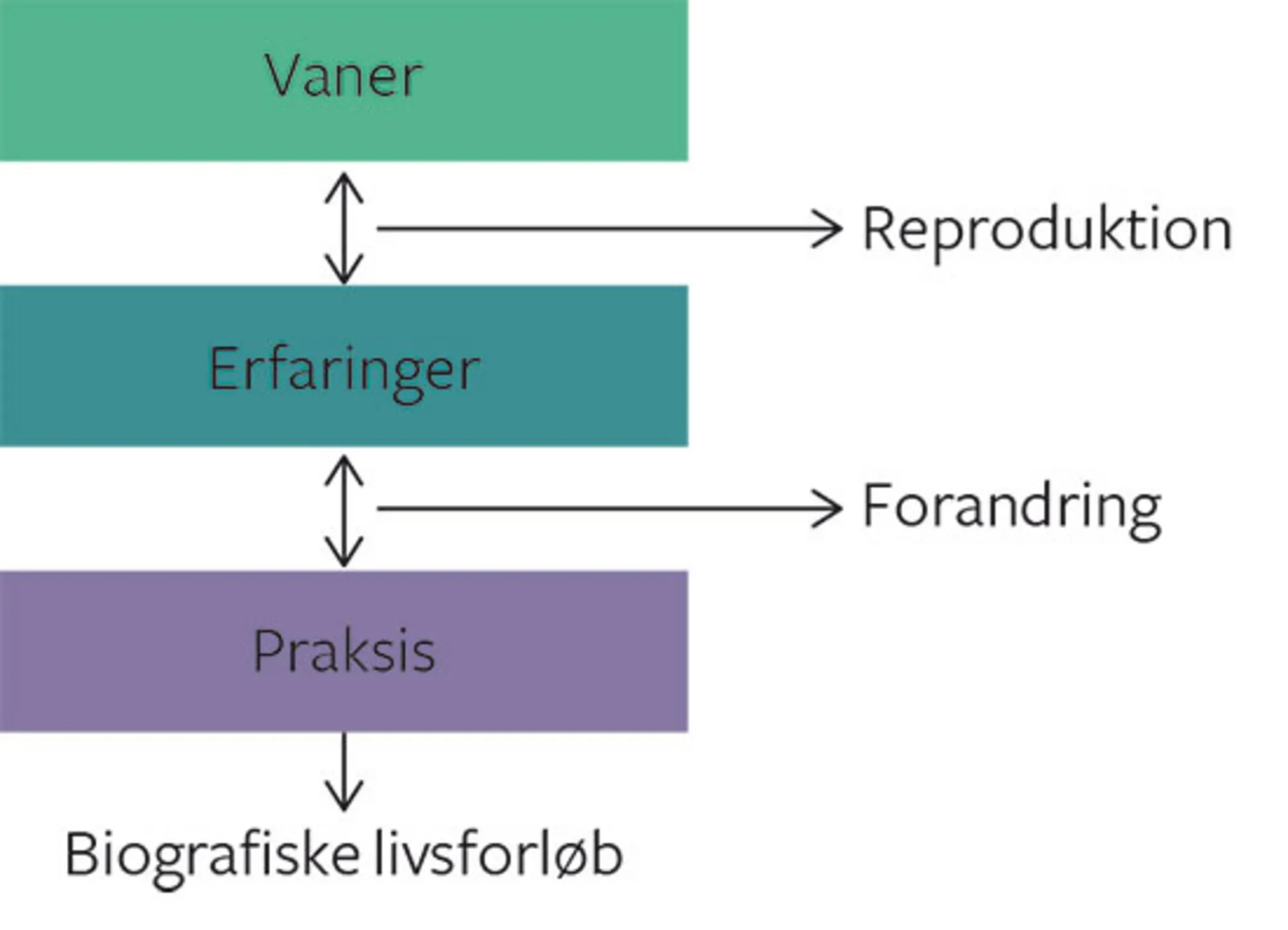 Figur 4.2 Reproduktion og transformation af verden gennem social samhandel