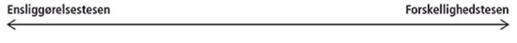 Figur 5.2 To syn på globalisering 