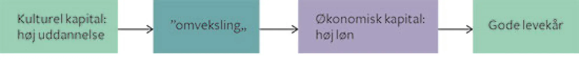 Figur 5.3 Omveksling af kulturel kapital via økonomisk kapital til gode levekår