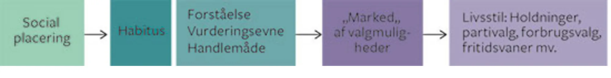 Figur 5.6 Habitus og social placering