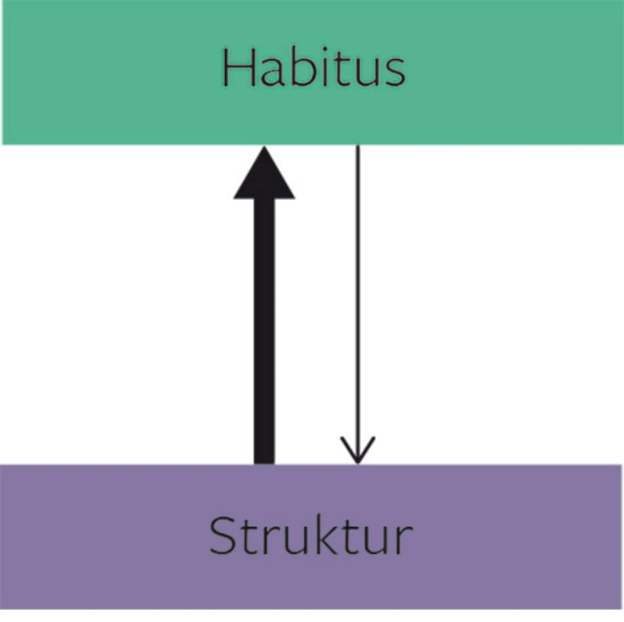 Figur 5.7 Skabelse og forandring af habitus